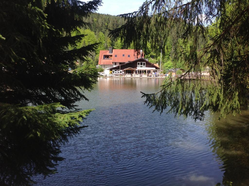 Self-Check-In Ferienwohnungen & Apartments Am Bergsee Triberg im Schwarzwald Zewnętrze zdjęcie