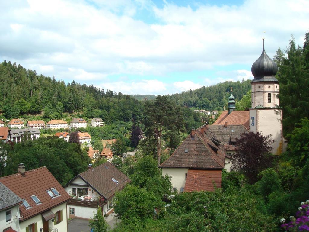 Self-Check-In Ferienwohnungen & Apartments Am Bergsee Triberg im Schwarzwald Pokój zdjęcie